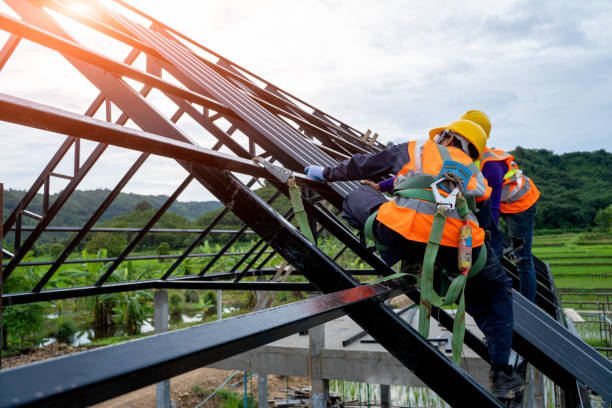 Best Flat Roof Repair Services  in Valmeyer, IL