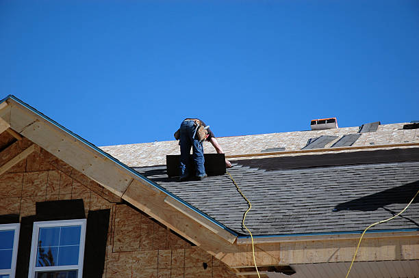 Best Roof Gutter Cleaning  in Valmeyer, IL