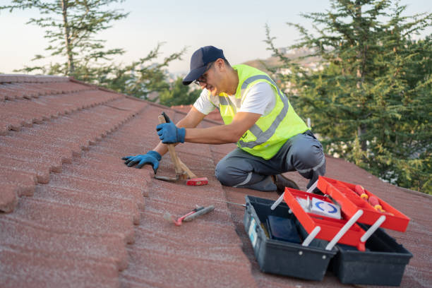 Best Emergency Roof Repair  in Valmeyer, IL