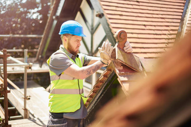 Best Storm Damage Roof Repair  in Valmeyer, IL