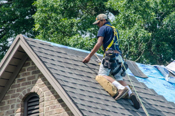 Best Metal Roofing Contractor  in Valmeyer, IL